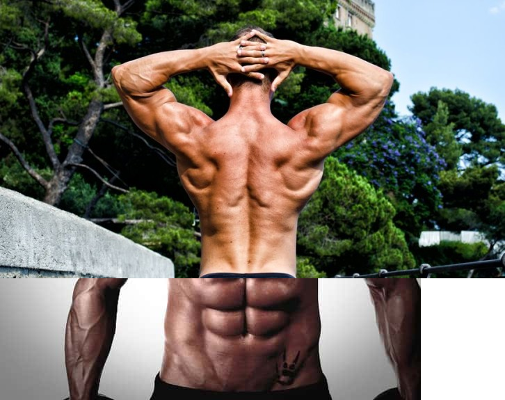 Winstrol – the best cutting cycle supplement