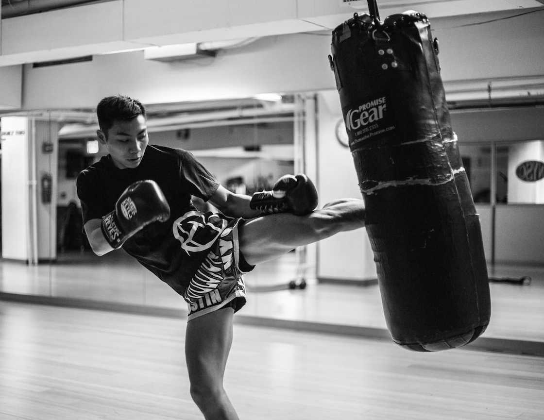 Ultimate MMA Streaming Guide Watch UFC, Bellator and More Live Online