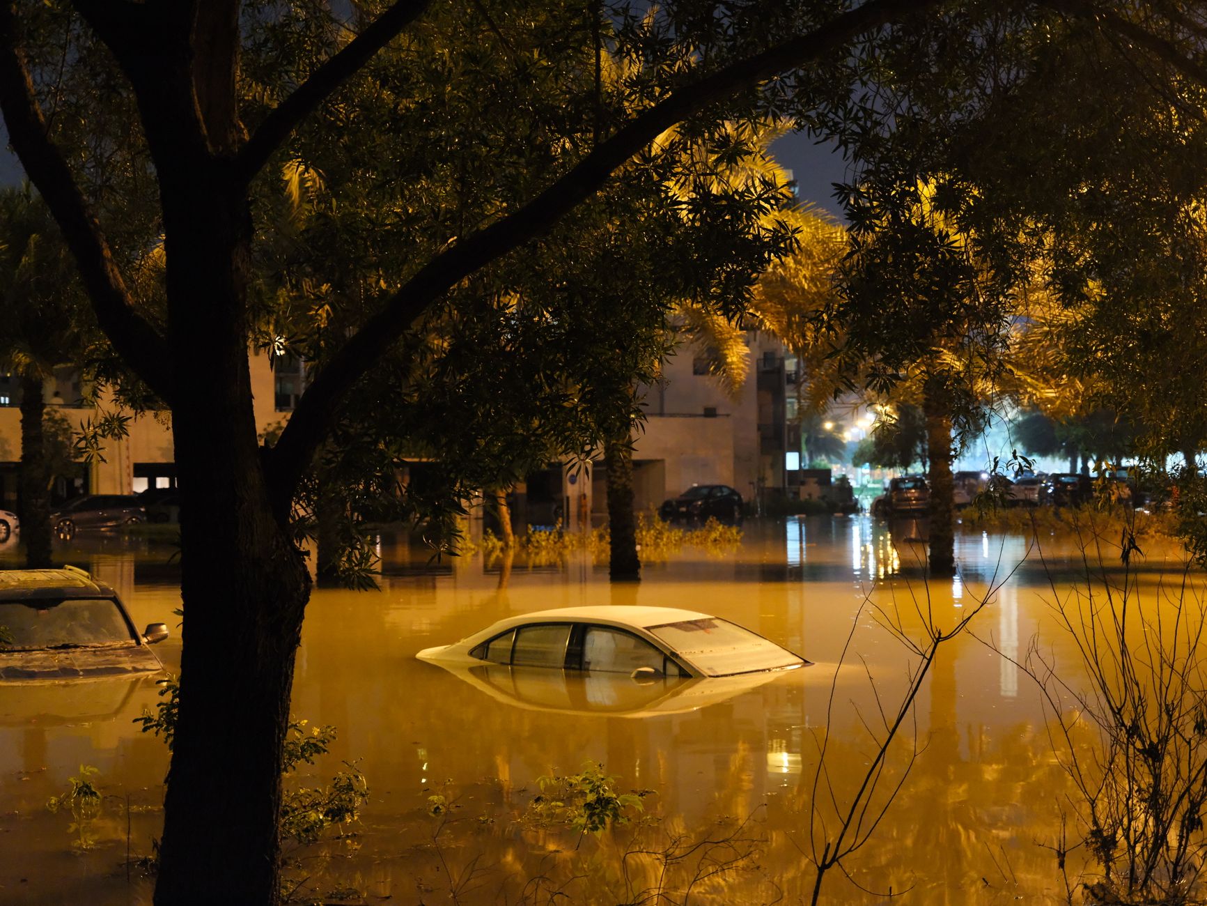 Flash Flooding Concern: Proven Tips for Safety Today